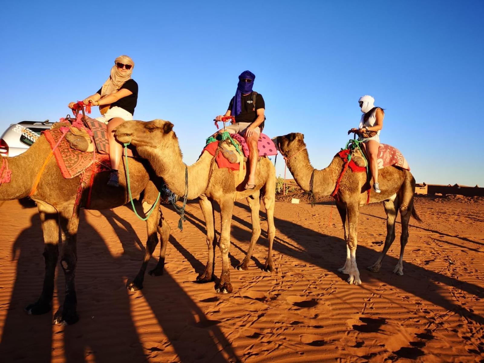 Desert Bivouac Mhamid Exterior photo